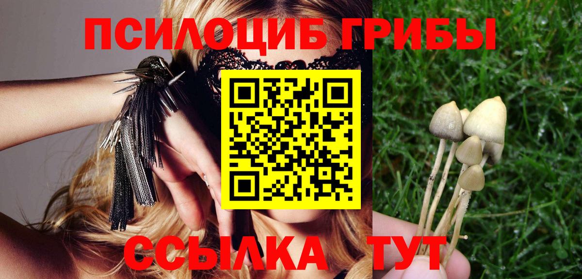 Псилоцибиновые грибы Magic Shrooms  Заринск 