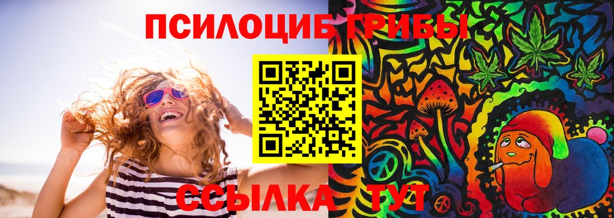 Галлюциногенные грибы Psilocybe Заринск