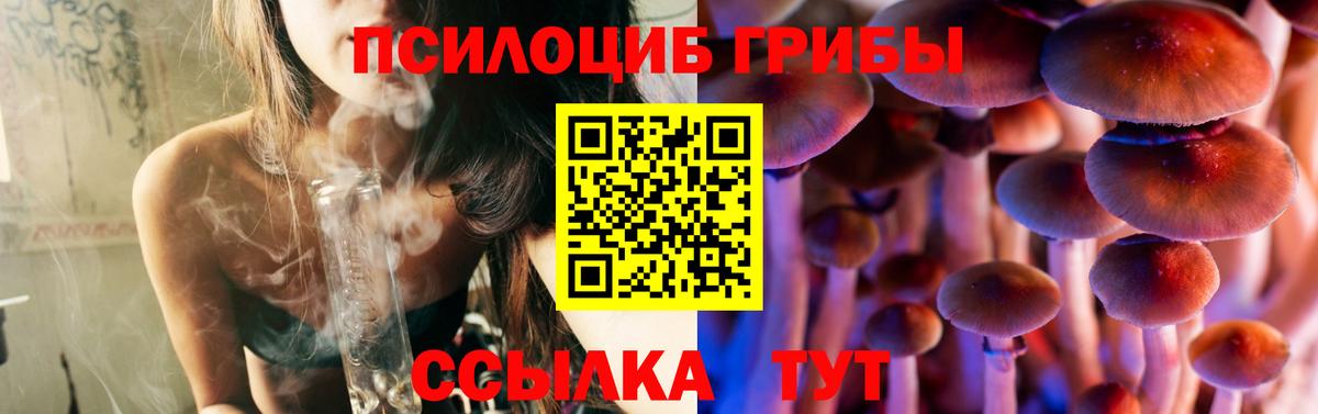 Галлюциногенные грибы мицелий Заринск