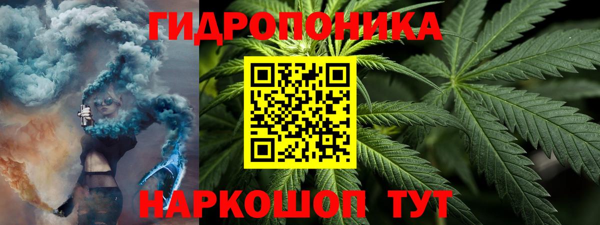 Шишки марихуана сатива  Конопля гибрид  Конопля Bruce Banner  Заринск 